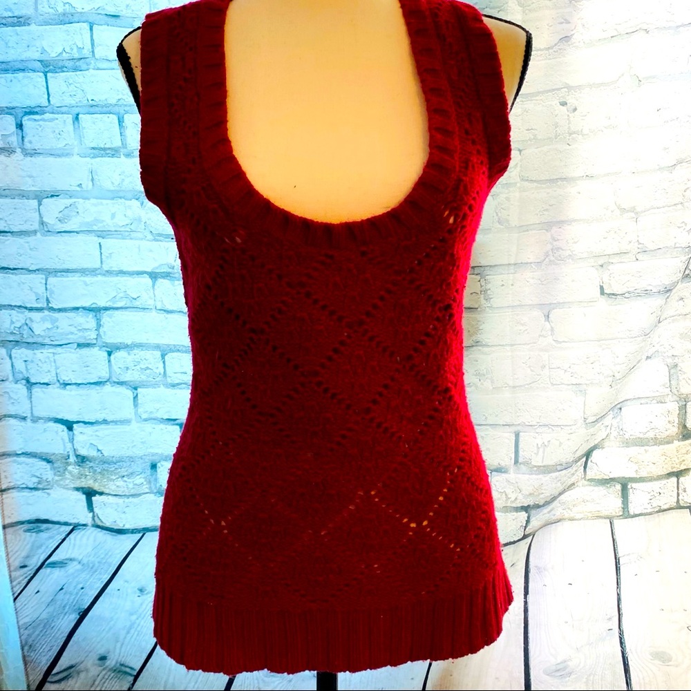 Express|| Red sweater vest